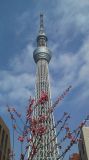 World Tower