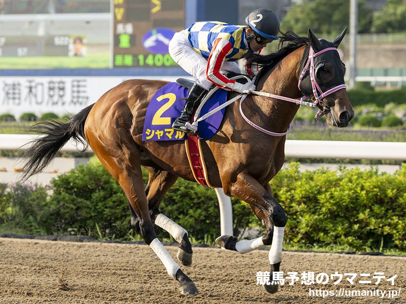 東京盃